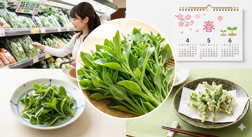 【最新】アイスプラントどこに売ってる？買える場所や旬の時期・食べ方を解説